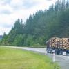 Forestry and logging