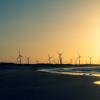 Windfarm in Brazil in the sunset