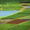 Land use