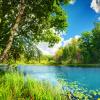 Clean lake