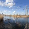 electrical cables over pond
