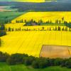 Spring in Central Europe - bird s eye view