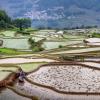 Planning for future water security in China