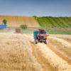 field with combine harvester