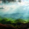 forest mountain landscape