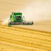 Combine harvester in wheat field