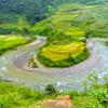 Small river flowing through fields of beautiful terraced fields