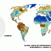A map of the Earth showing global areas of importance for terrestrial biodiversity