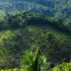 Reforestation on hill at Bao Loc mountain pass, Vietnam