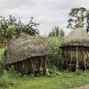 Traditional African granaries