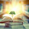 tree growing on an open book