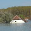 Flood