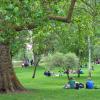 Park