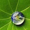 Dew drop on leave reflecting the Earth