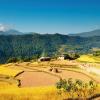 Yellow rice fields and farm buildings in mountains of Nepal
