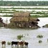 Flloding Bangladesh