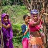 Indian women in colorful clothes gathering firewood