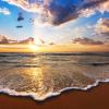 Colorful ocean beach sunrise with deep blue sky and sun rays. 