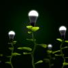 Sustainable or renewable green energy concept illustrated with tree seedlings with lit led bulbs as fruit.