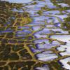 Aerial photograph of Arctic tundra