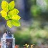 Green growth finance