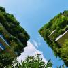 urban greenery
