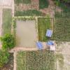 One of the solar irrigation pump sites in the Chakhaji village of Samastipur District in Bihar, India