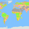 Hybrid global land cover map 