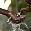 Drinking Water