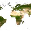 WorldCover