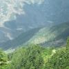 India Forest 