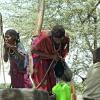 water fetching semi-nomadic farmers