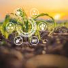 Technology and agriculture