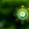 Renewable energy and nature conservation concept 
