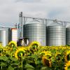Silo in a sunflower field