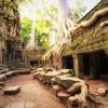 Ta Prohm Khmer ancient Buddhist temple in jungle forest.