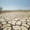 Extreme droughts are becoming increasingly prevalent around the world