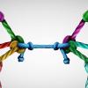 knotted
