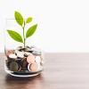 Green Tax Reform