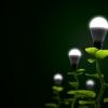Sustainable or renewable green energy concept illustrated with a tree seedling with an led bulb as fruit.