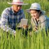 Asian couple using digital tablet to take picture of rice field 