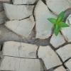 Resilience illustration