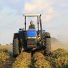 africa agriculture