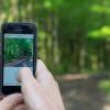 Person with cellphone in hand taking photo in the forest