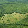 Tropical Forest and deforested area