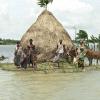 Family stranded on island during flooding in the delta Bangladesh due to climate change