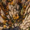 Fall Climate Change