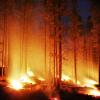 Forest fire at night