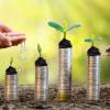 sustainable grow and cooperation
