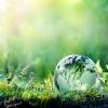 Photo 114782613 / Nature © Romolo Tavani | Dreamstime.com